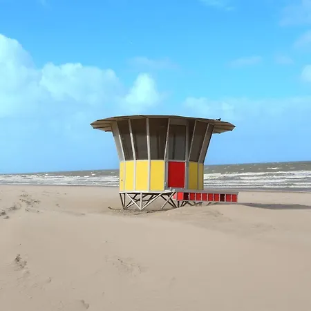 Apartment Gelijkvloers App Met Ruim Terras Op 1 Min Zee